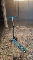 Micro Scooter