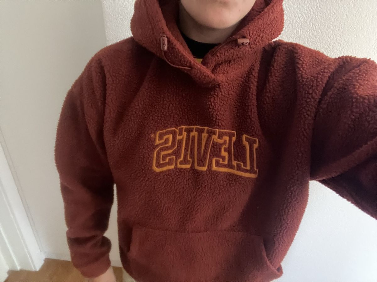 Levi's Pulls & Sweat-shirts: Levi’s Fleccepullover  – D'occasion à Burgdorf par Wauter