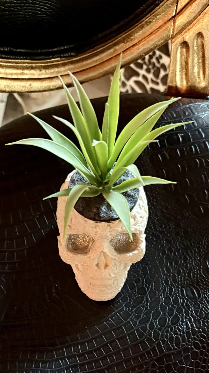 Statuette: Totenkopf Set  – Nuovo (secondo la descrizione) da Safenwil venduto da taschenlady 1