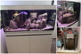 EHEIM Aquarium komplett mit umfangreichem Zubehör