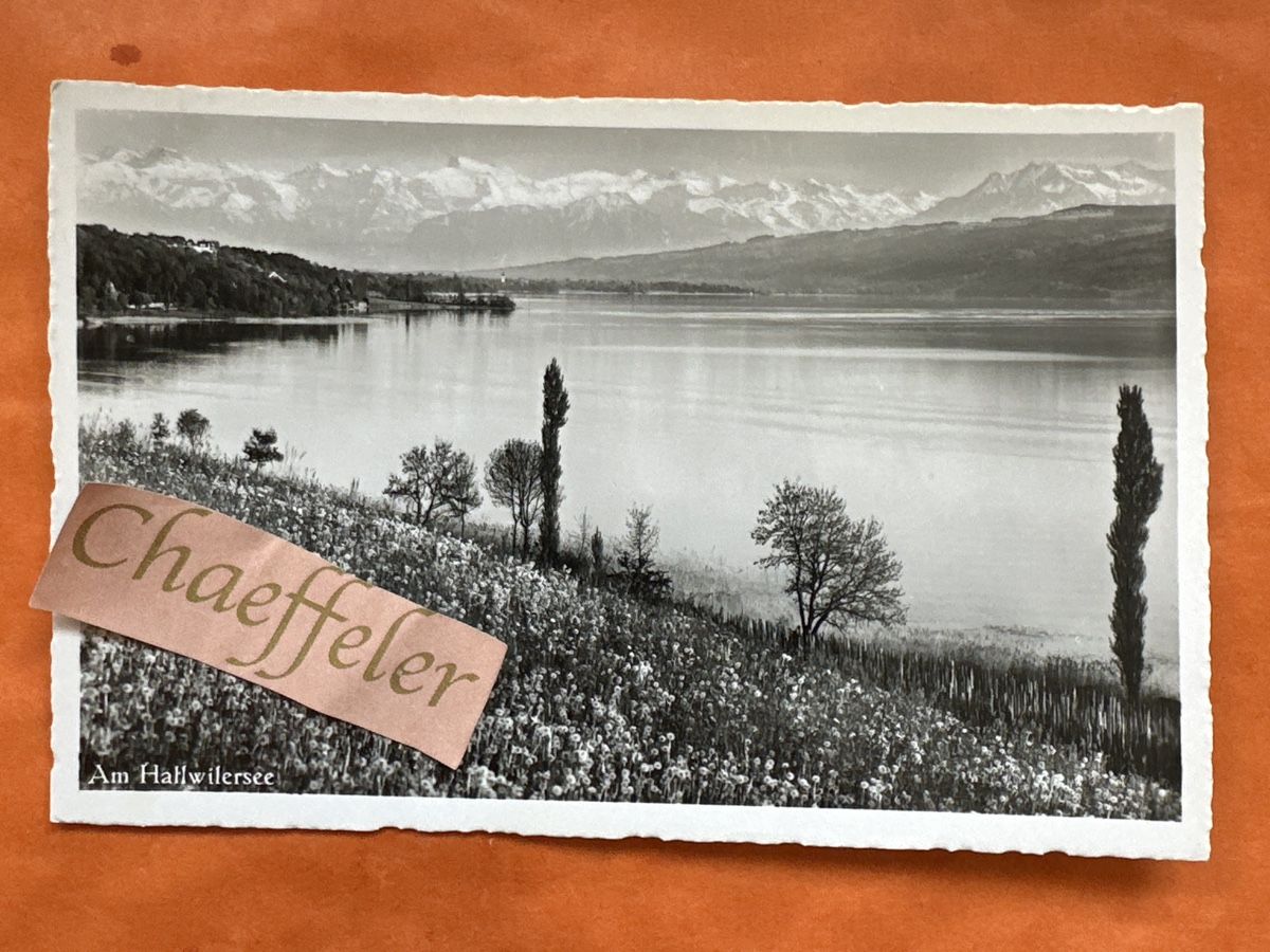 Cartoline postali: 1961 Am Hallwilersee – Usato da Zürich venduto da Chaeffeler