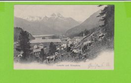 Campfèr Silvaplana Kühe  alte AK von1904