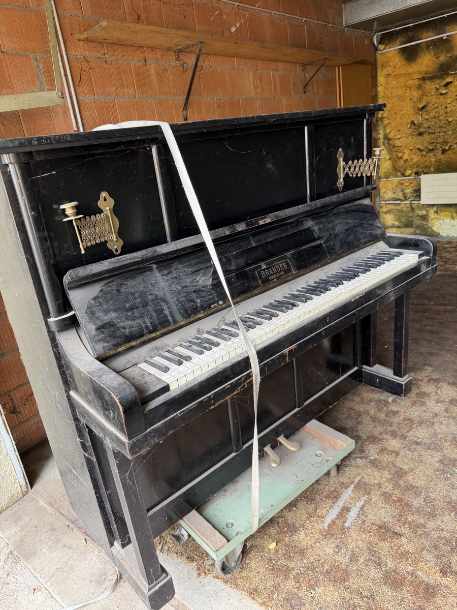 Strumenti musicali: klavier – Difettoso da Oberwil b. Büren venduto da kun_zg7k 4
