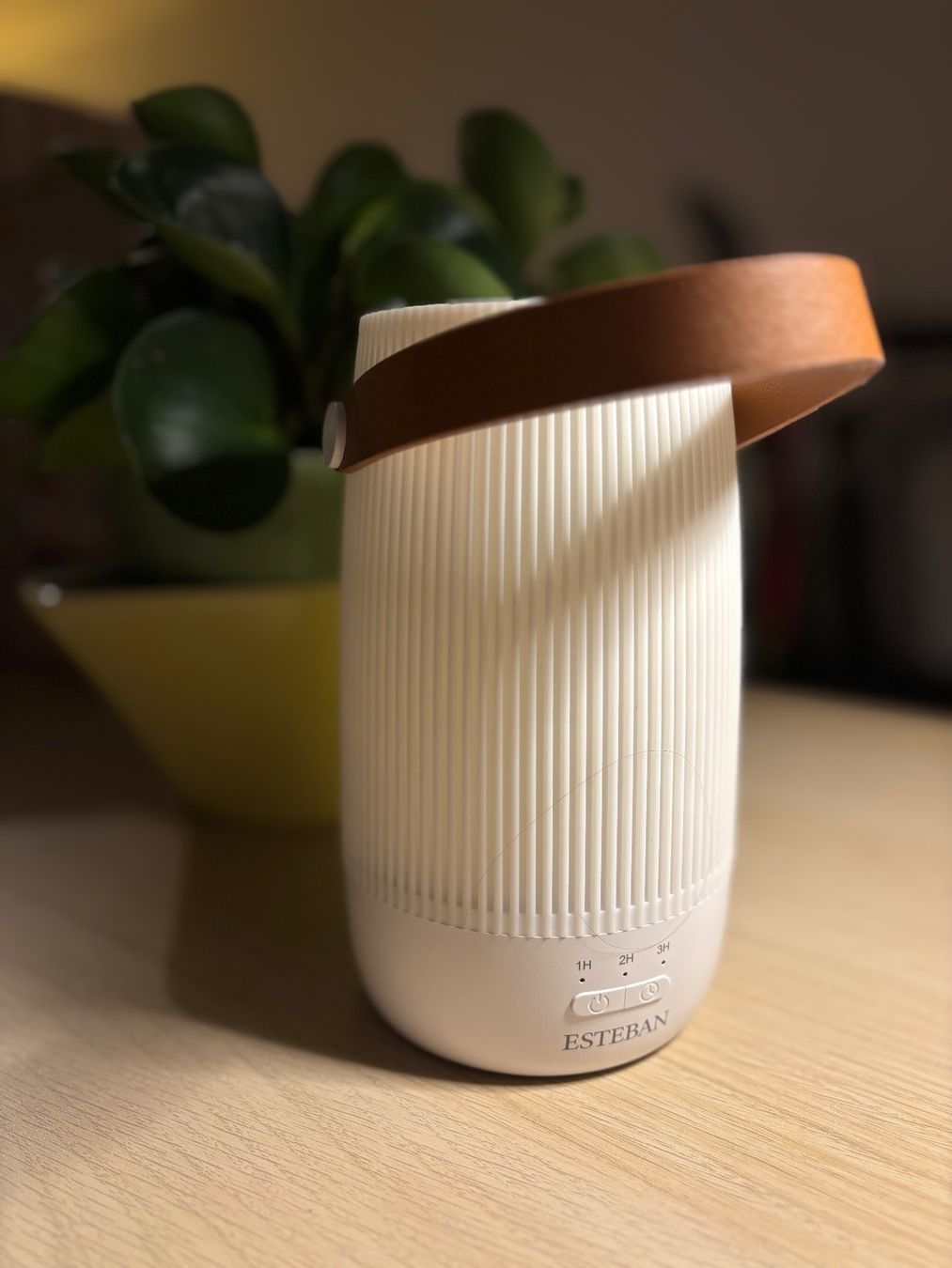 Diffusori di oli essenziali: Diffuseur d'arômes ESTEBAN - Lampe parfumée zen maison – Usato da Veyrier venduto da MargaritaR