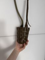 Bottle Bag