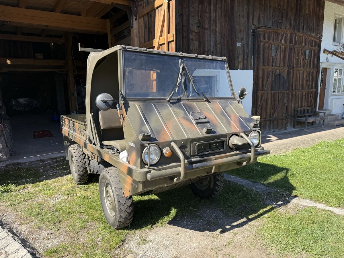 Puch Automobili: Steyr Puch Haflinger  – Usato da Illnau venduto da Bugak 1