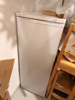 Gefrierschrank / Tiefkühler Primavista