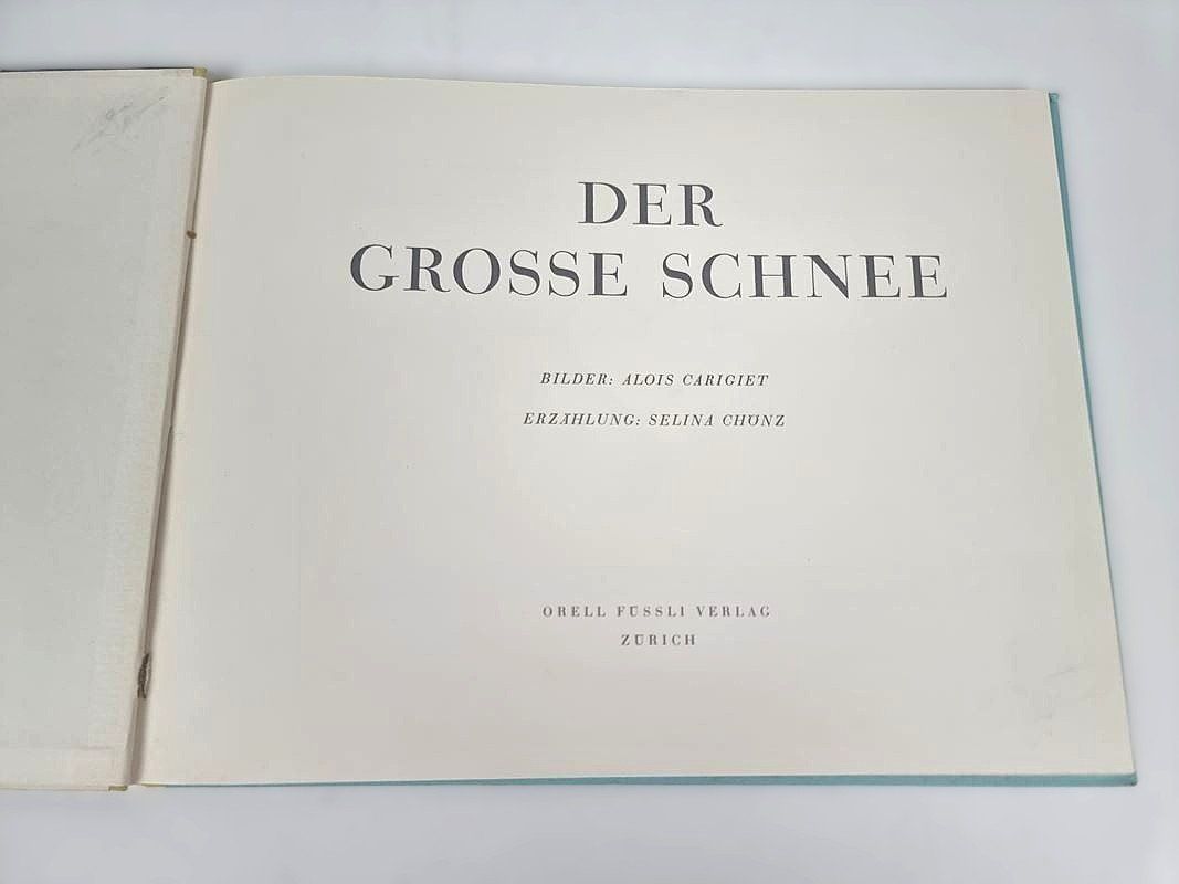 Libri: Buch  ,,Der grosse Schnee'' – Usato da Urtenen-Schönbühl venduto da Restwert_Schoenbuehl 1