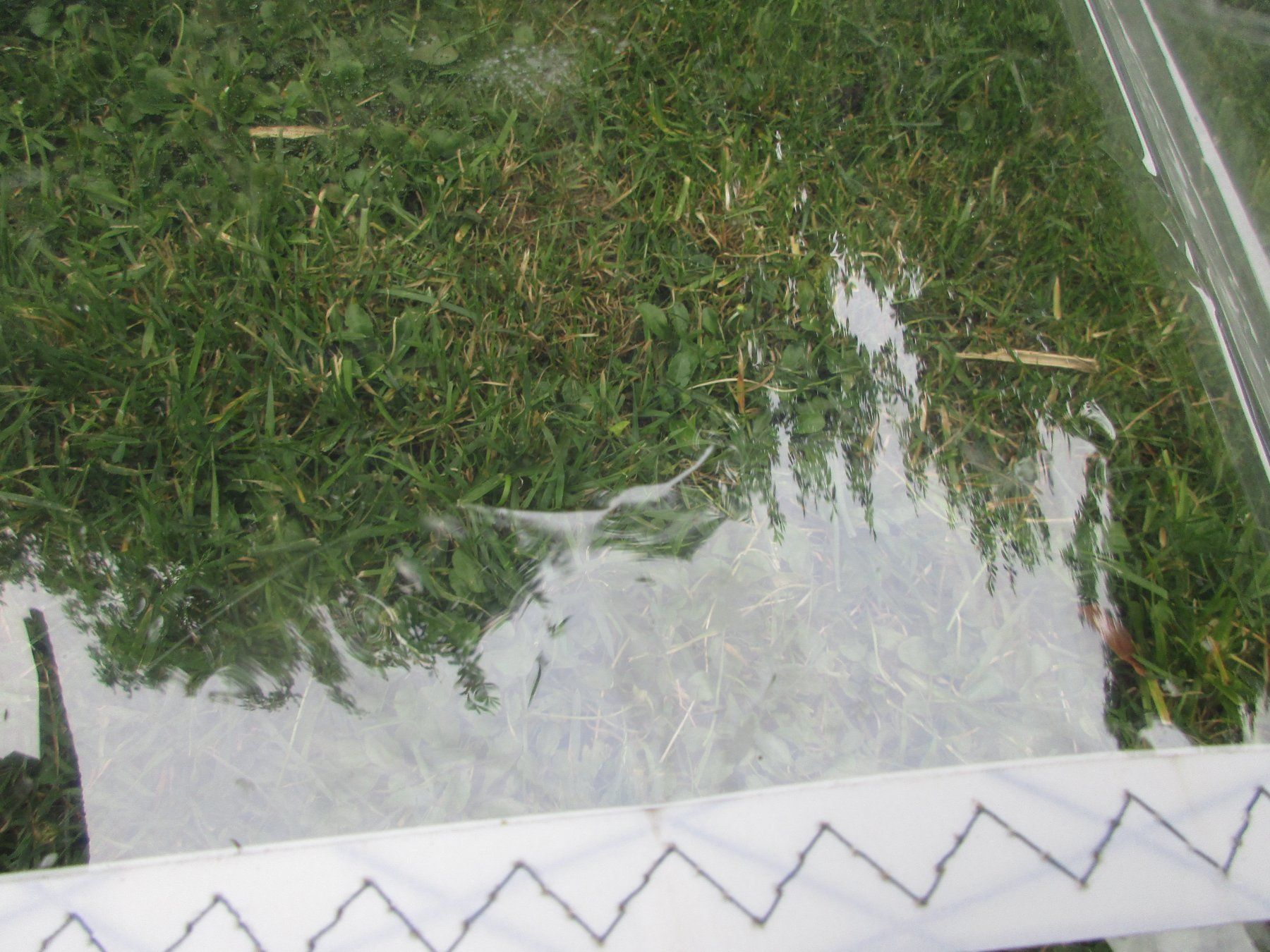 Surf: North Sails Volcano 6,4m Windsurfsegel – Usato da Ottikon venduto da Locomotive01 4