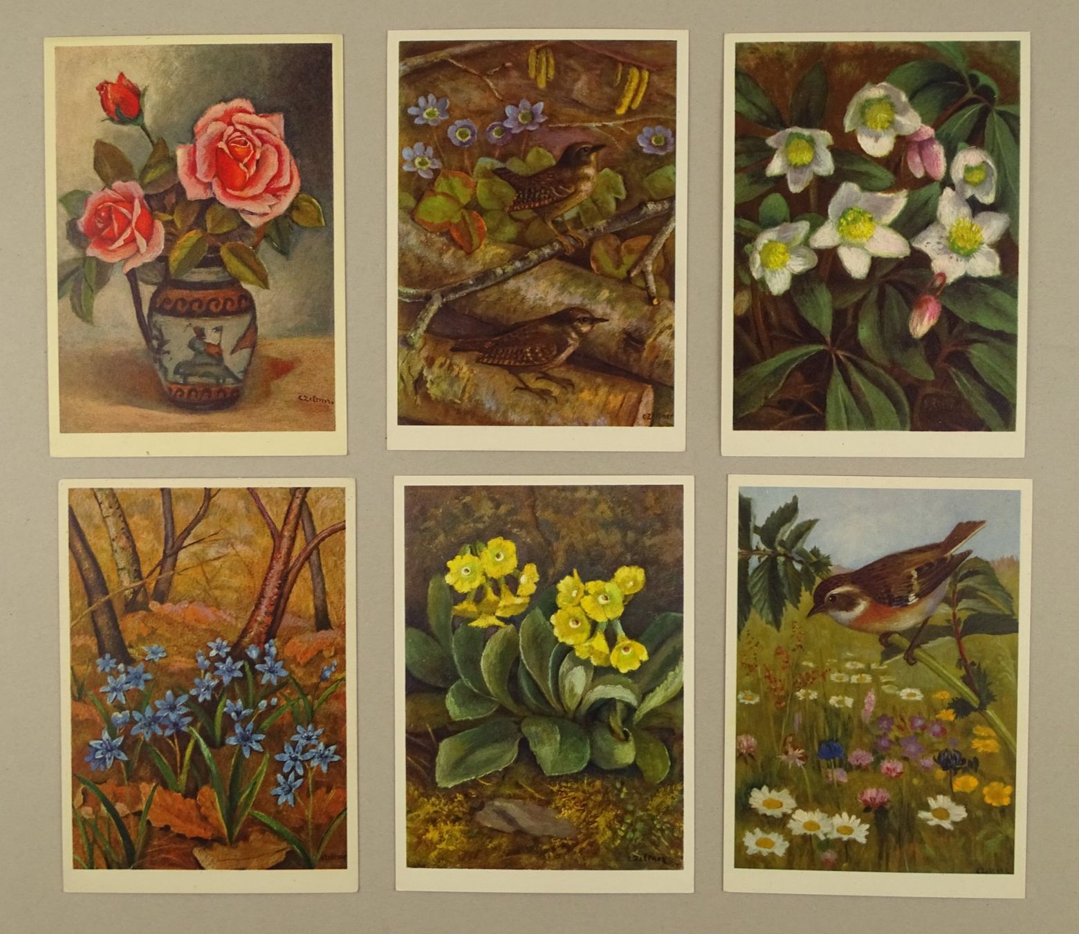 Cartes postales: ZELTNER ÜBER 100 ALTE KARTEN – D'occasion à Grüningen par Kartensammler 1
