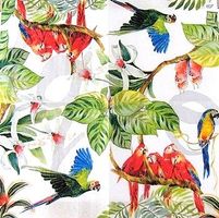 Serviette papagei 25x25 (t248) 2Stk.