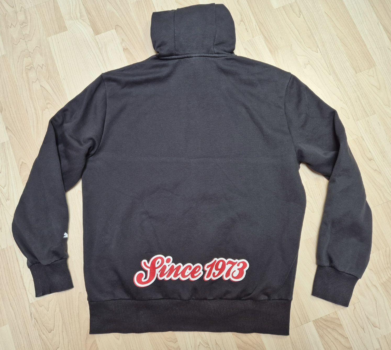Puma Maglioni & Felpe: Puma Dylan Hoodie Grösse L – Nuovo (secondo la descrizione) da St. Gallen venduto da CaliSunshine 1