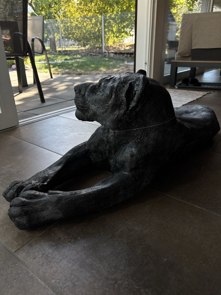 Skulpturen & Statuen: Statue de lionne – Neu (gemäss Beschreibung) aus Bassecourt von sev_5rxg 2