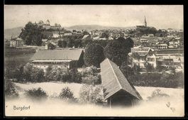 AK Burgdorf, Ortsansicht mit Burg aus der Vogelschau