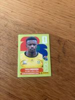 PANINI FIFA WORLD CUP 2026 - RSA 11