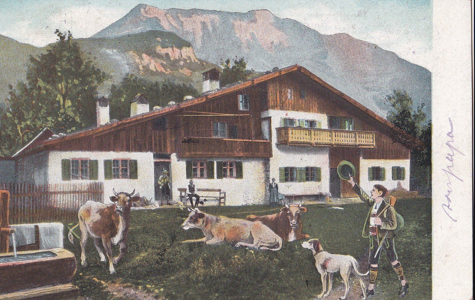 Cartes postales: Landwirtschaft Bauernhof mit Kühen – D'occasion à Olten par clotaldi