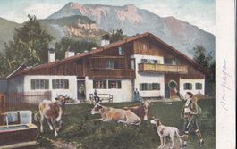 Landwirtschaft Bauernhof mit Kühen