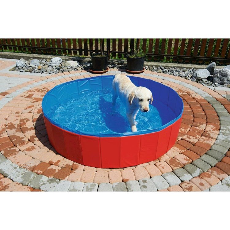 Pool für Hunde 120 × 120 × 30 cm (Neu und originalverpackt) in ...