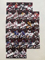 Sportzoo playoff /30
