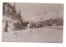 SILS BASELGIA Pferde-Schlitten Skijöring