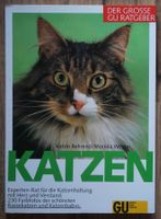 Katzen