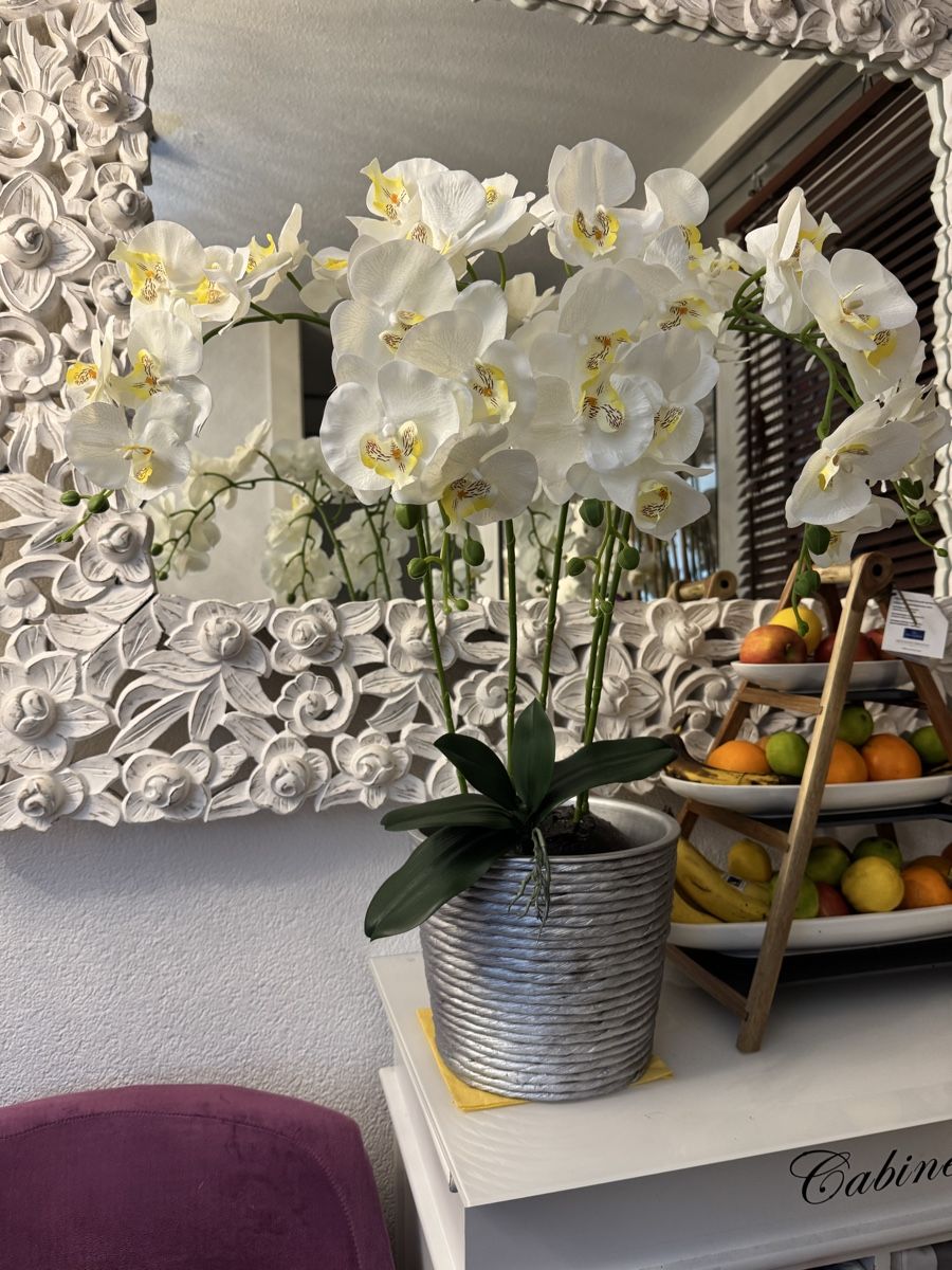 Alle Dekorationen: Künstliche Orchideen New – Neu (gemäss Beschreibung) aus Zürich von Privat4444 5