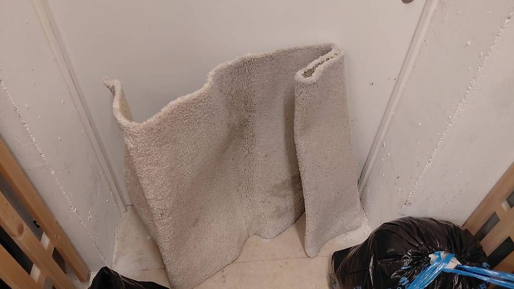 Tapis: Tapis d'intérieur – D'occasion à Chavannes-Renens par frotaur