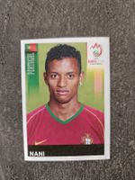 Nani Euro 2008