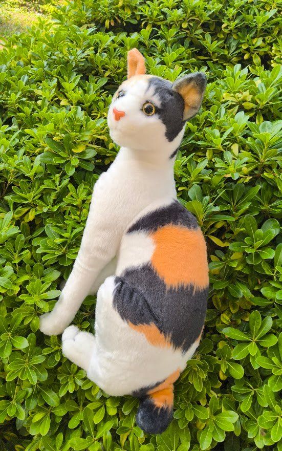 Giocattoli: Plüsch  Katze – Nuovo (secondo la descrizione) da Castagnola venduto da Cat-WomenX 3