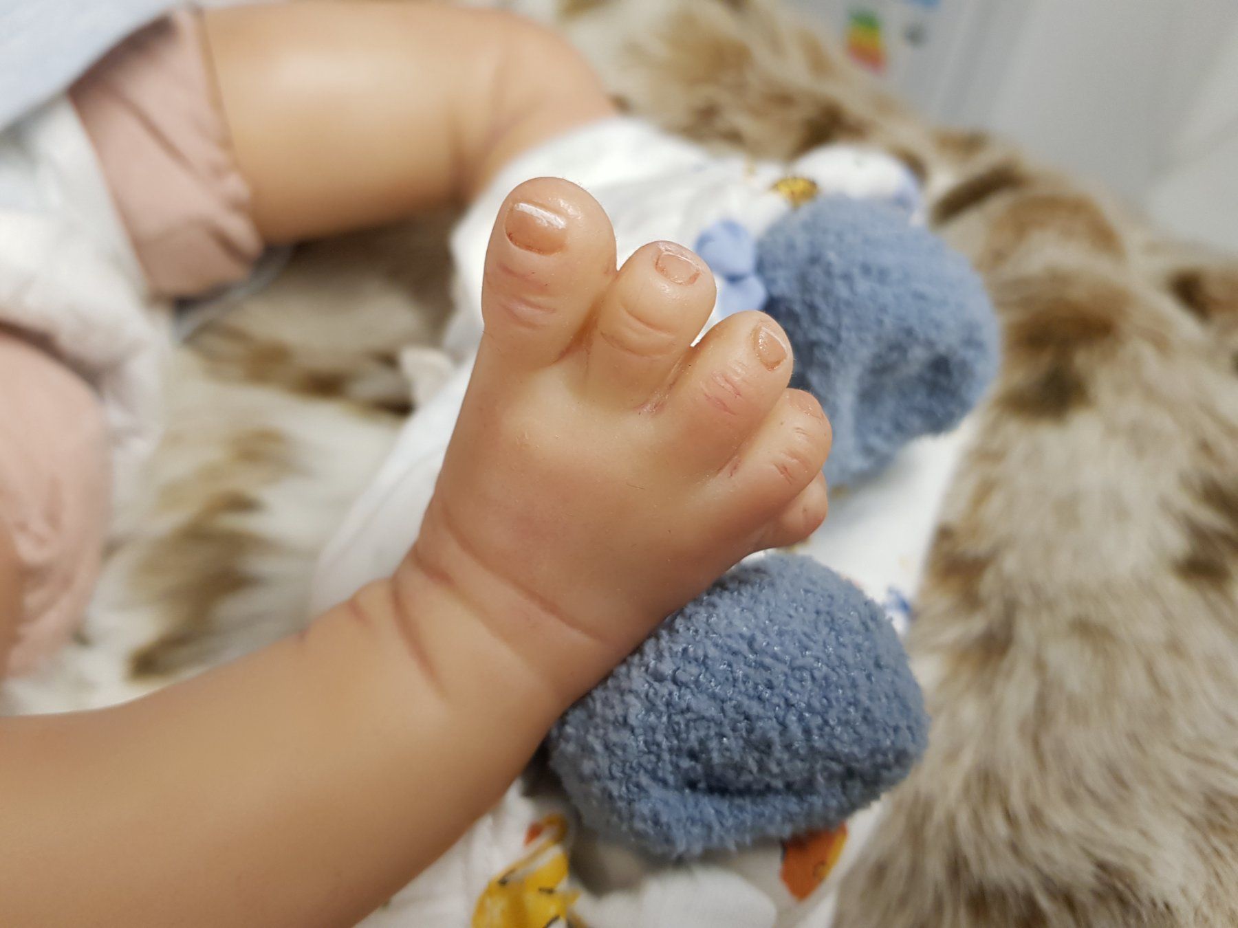 Reborn Bambole: Reborn Harry aus Kanada – Nuovo e nell'imballaggio originale da Boppelsen venduto da Pudelmama 3