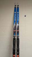 Salomon Skatingski 144cm  (9326)