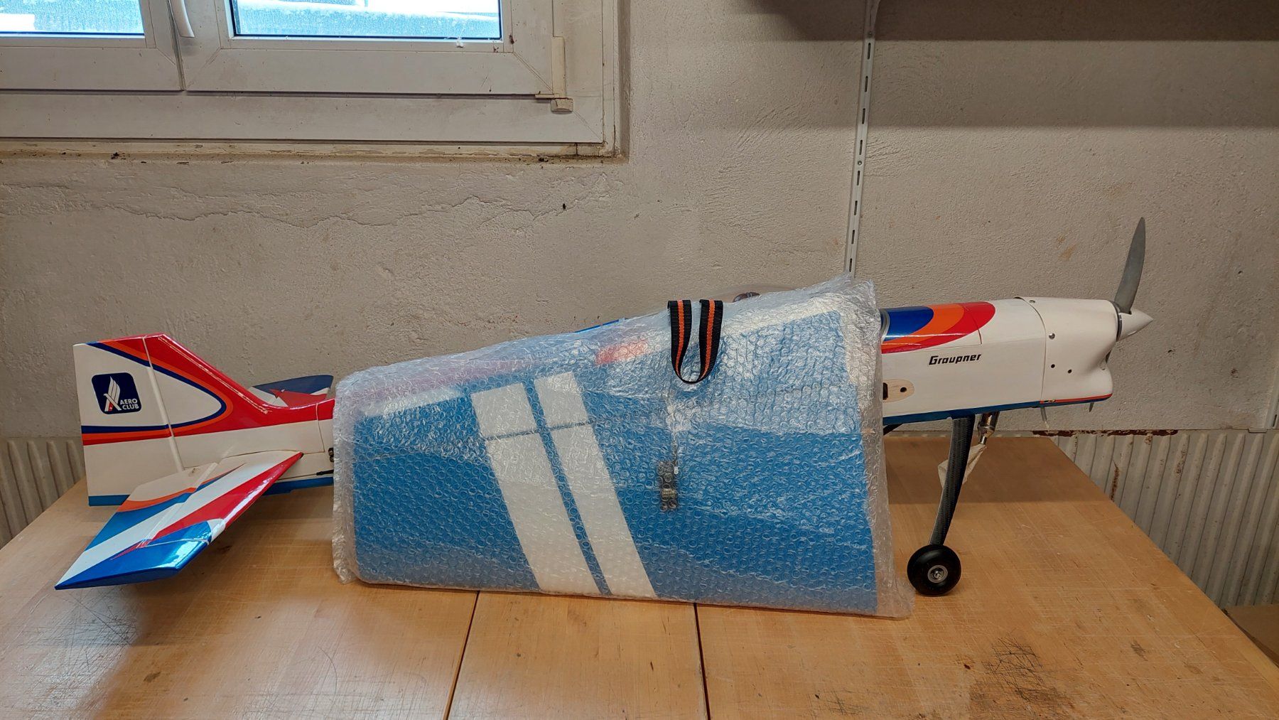 Graupner Modellismo RC: Saphira Graupner – Usato da Saignelégier venduto da DidierG 2