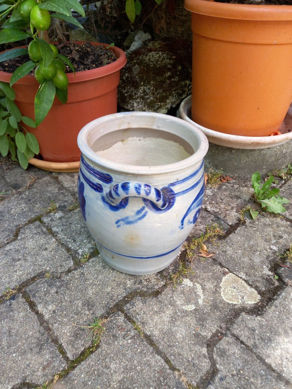 Töpfe: Steingut – Gebraucht aus Seon von Zack_16 1