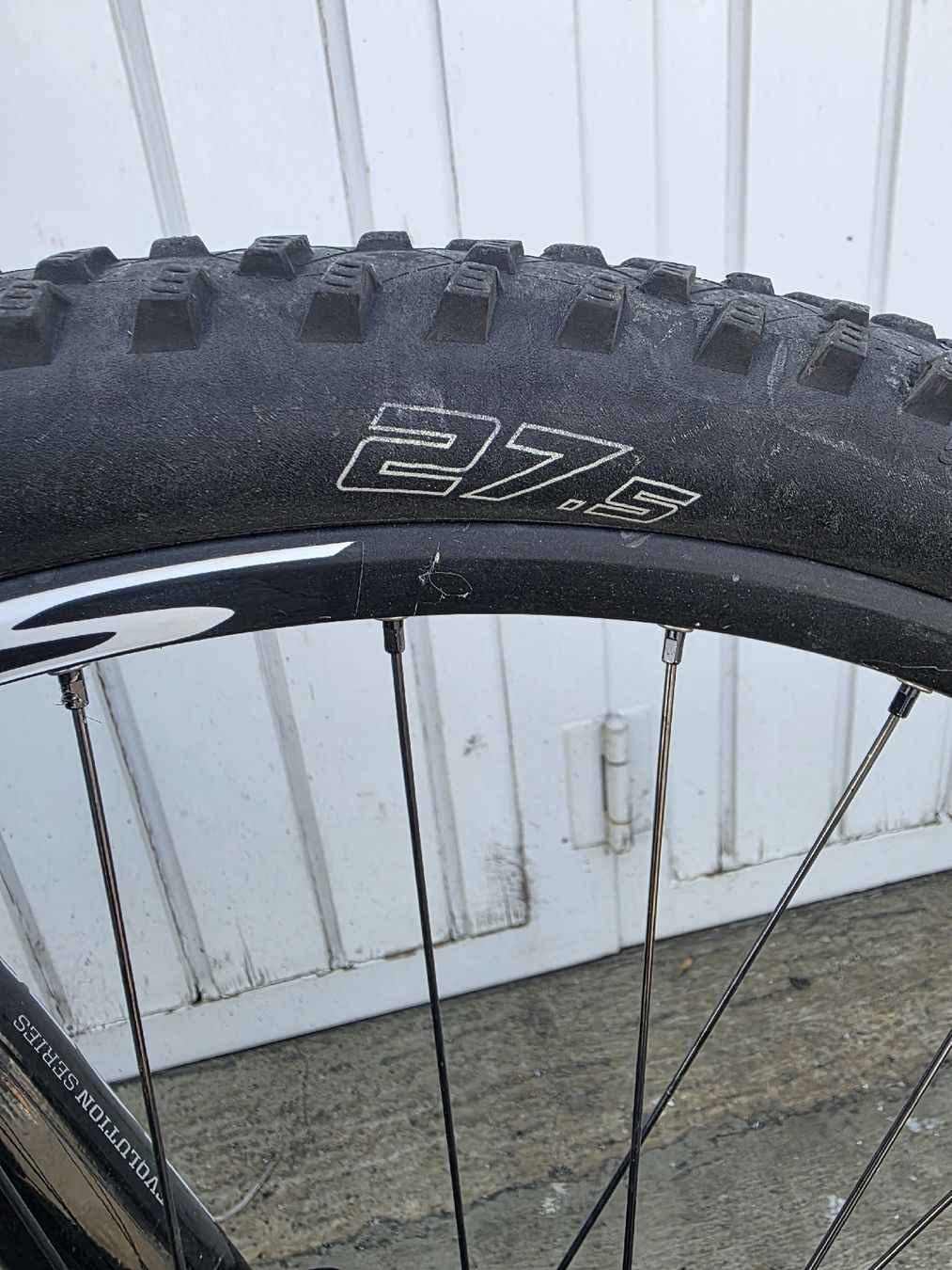 Scott Biciclette: Scott Carbon Mountainbike  – Usato da Altstätten SG venduto da Maxim1980 2