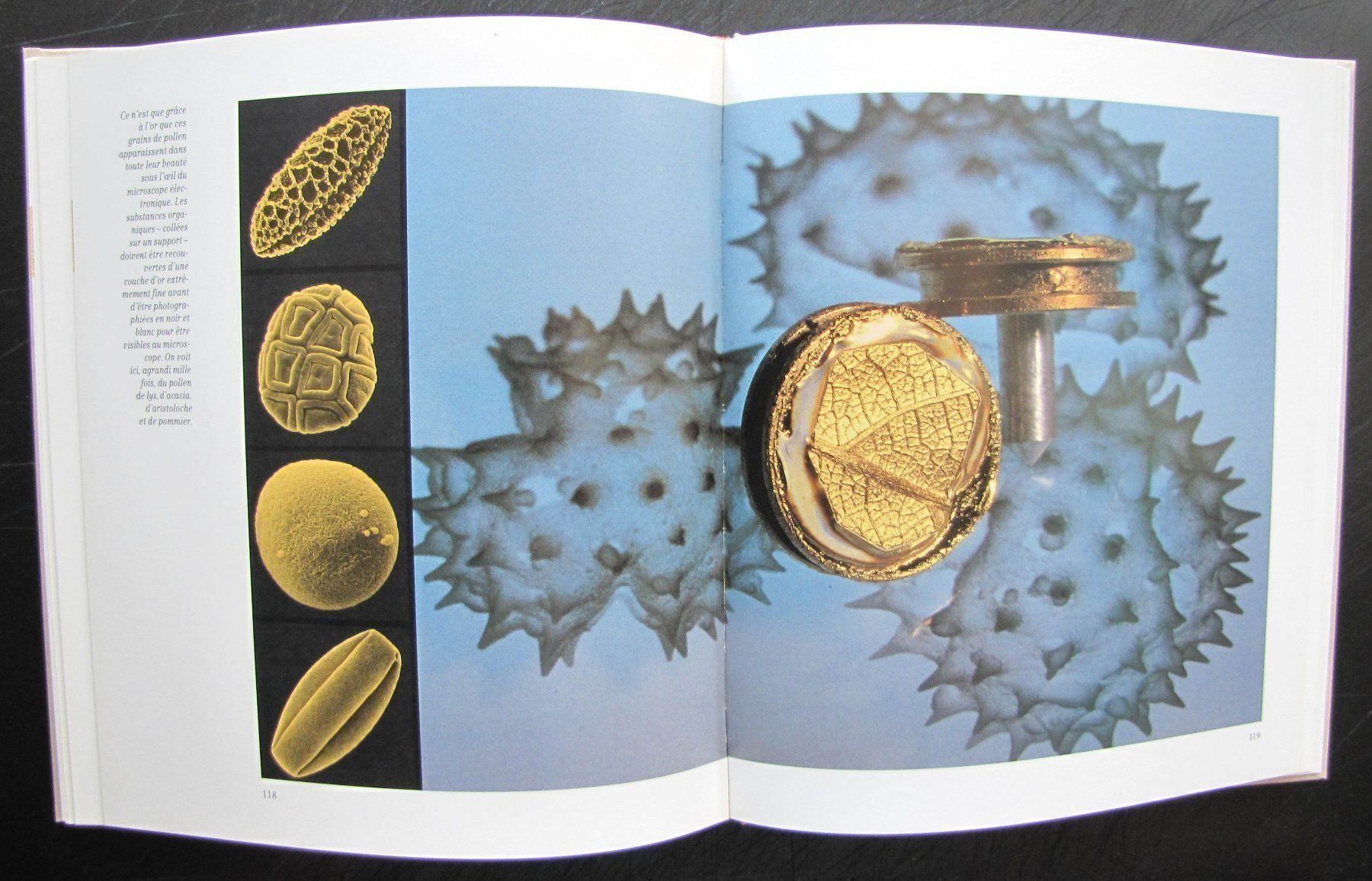 Livres: L’OR . Editions Mondo – D'occasion à Genève par Brindisina2019 7