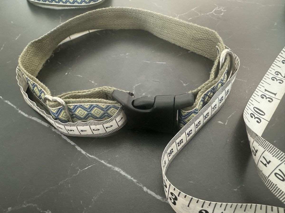 Leine & Halsband: Leine sowie Halsband Set farbig – Gebraucht aus Niederglatt ZH von vul_v86c 3