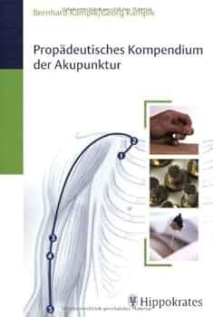 Libri: Fachbuch TCM: Propädeutisches Kompendium der Akupunktur – Nuovo (secondo la descrizione) da Sarmenstorf venduto da RenBos