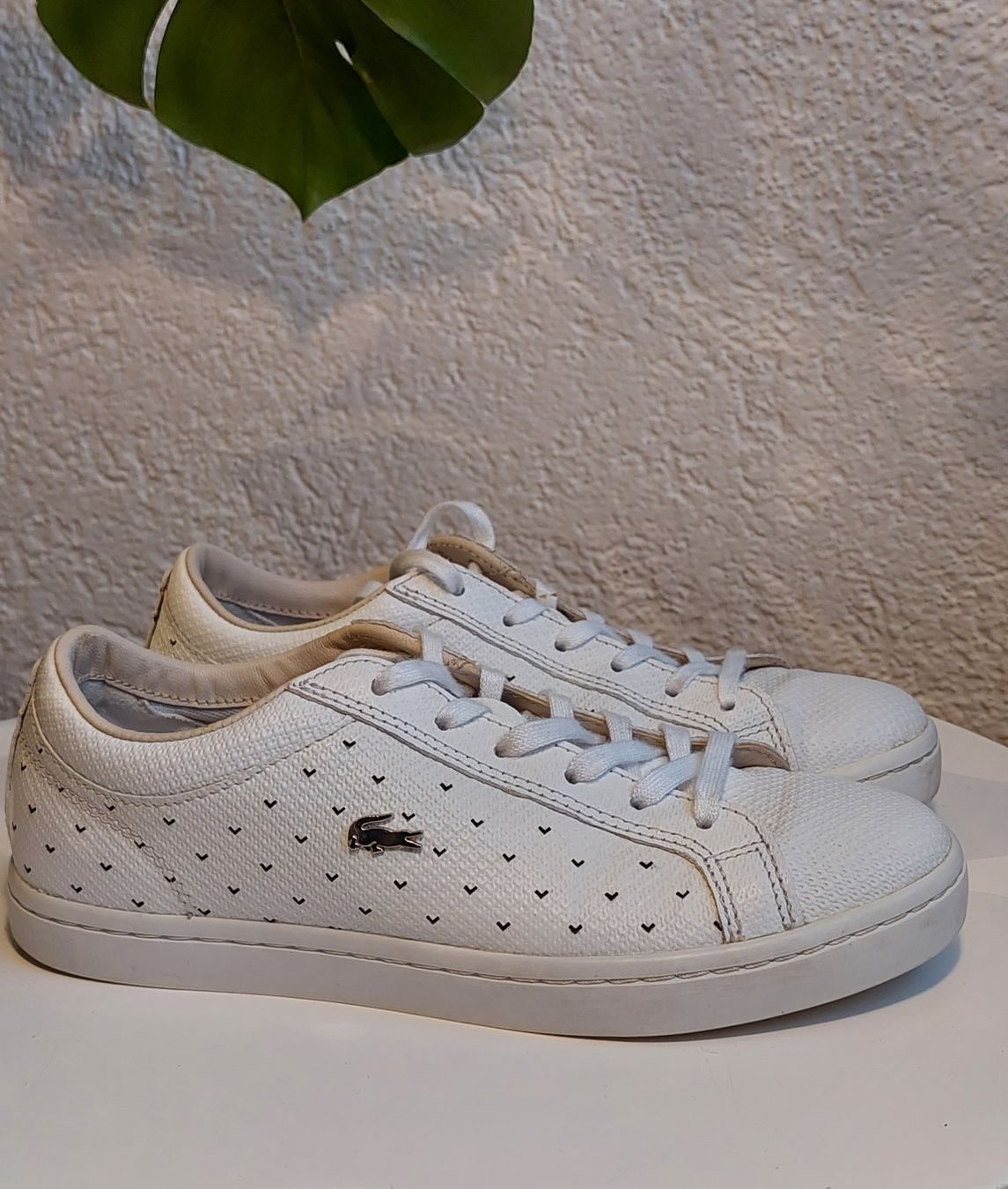 Lacoste Scarpe da donna: Lacoste Sneaker Gr 37 – Usato da Zizers venduto da toasty01 1