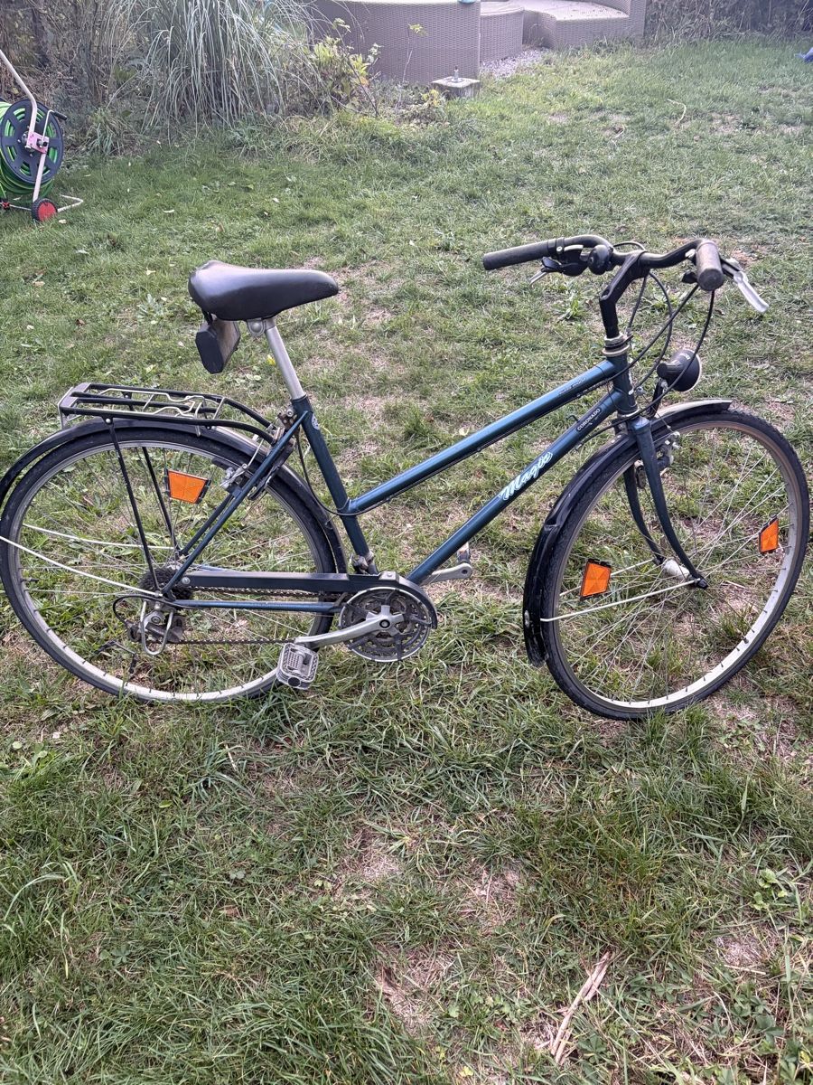 Vélos: Fahrrad – Défectueux à Berg (Dägerlen) par lonzokeed 1