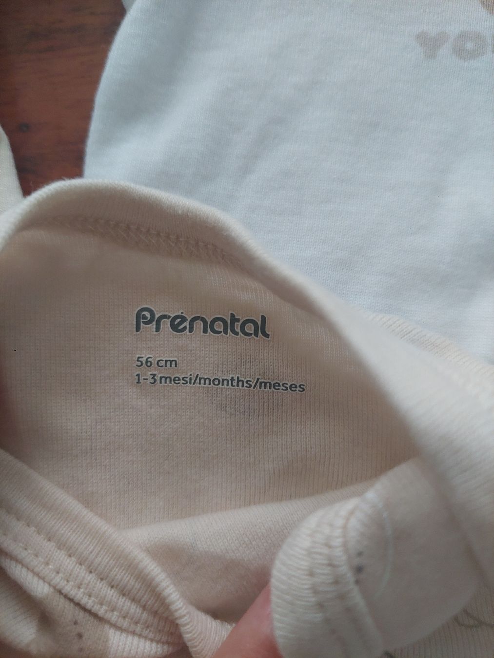 Biancheria intima: Babyboy  Gr. 56  5er Pack – Usato da Sissach venduto da zwwerg 1