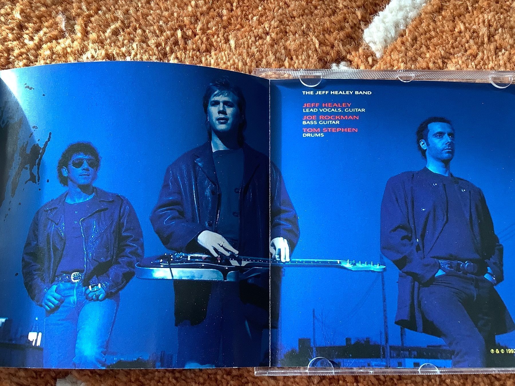 CDs: Jeff Healey * Feel This – D'occasion à herzogenbuchsee par HIFIANER 2