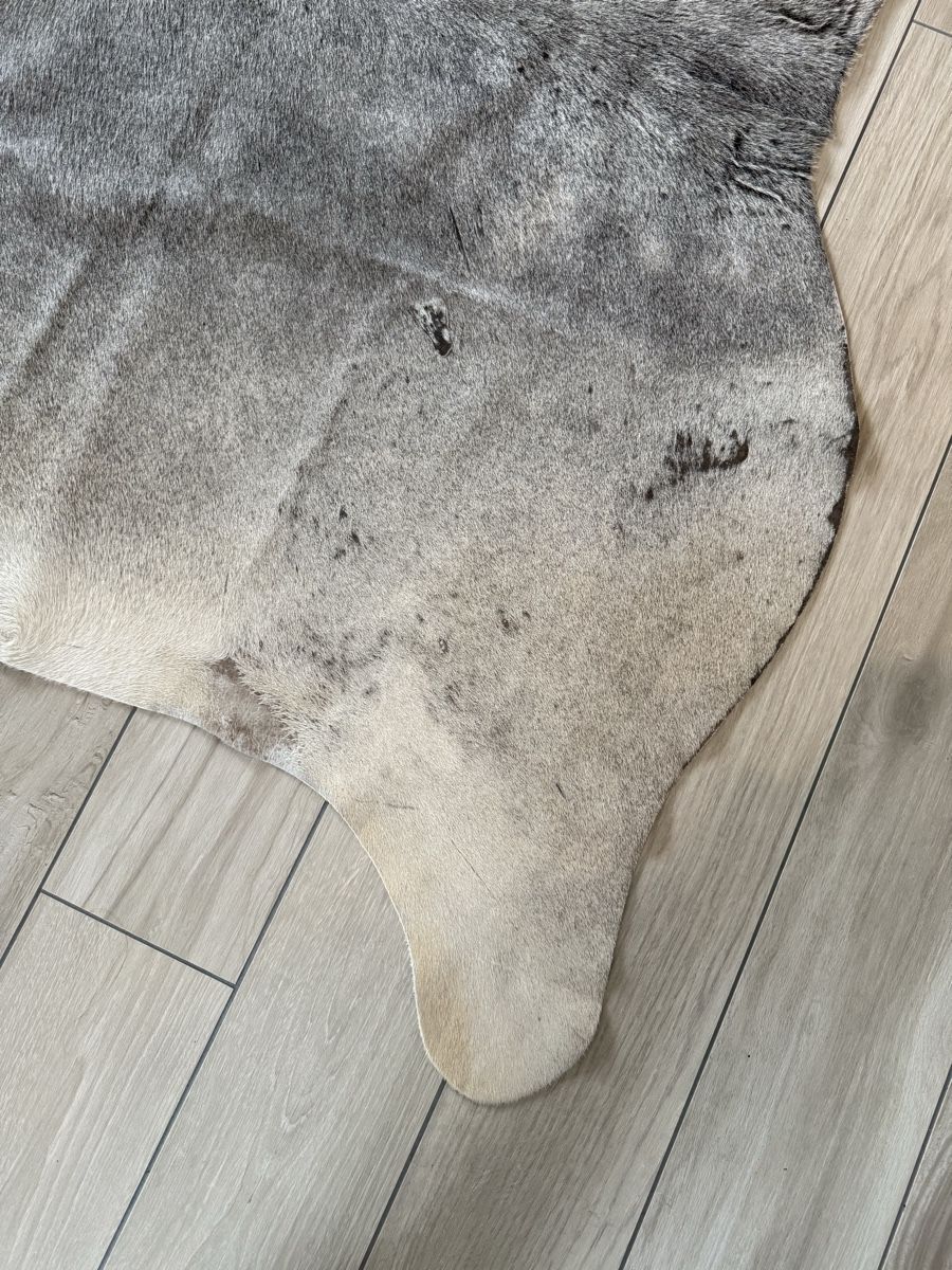 Tappetini fitness: Kuhfell – Usato da Oberhasli venduto da Cordula04 1