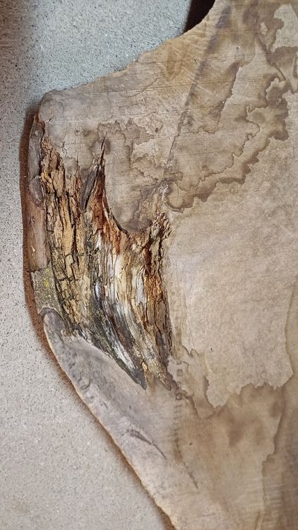 Articoli in legno: Nussbaumbrett – Nuovo (secondo la descrizione) da Embrach venduto da Olympia52 2