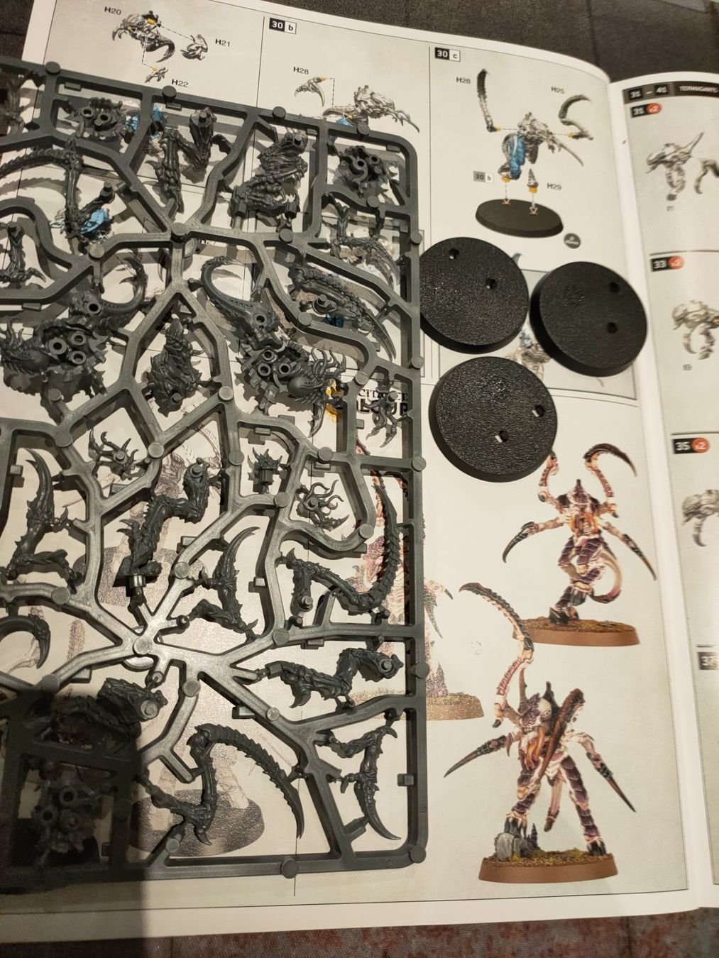 Modellbausätze & Standmodelle: Von Ryan's Leapers der Tyraniden, Warhammer 40k – Neu (gemäss Beschreibung) aus Baden von Araneus 1