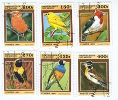 Briefmarken "Vögel". Benin.