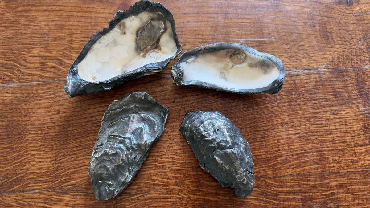 Fossili: 4 Austernschalen mit Silberüberzug antik – Usato da Riedholz venduto da Frettchen63