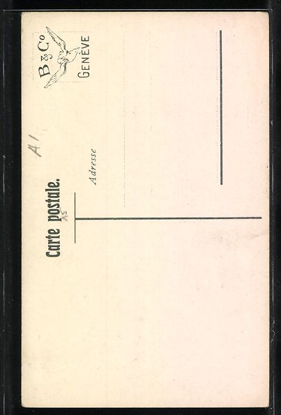 Cartoline postali: Fräulein in Appenzeller Tracht – Usato da Berlin venduto da bartko-reher 1