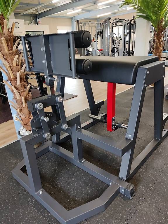 Hometrainer: **Reverse Hyper** Profi Gerät – Nuovo (secondo la descrizione) da Chur venduto da DanaChur 4
