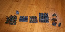 Orks und Goblins Armee - Warhammer The Old World