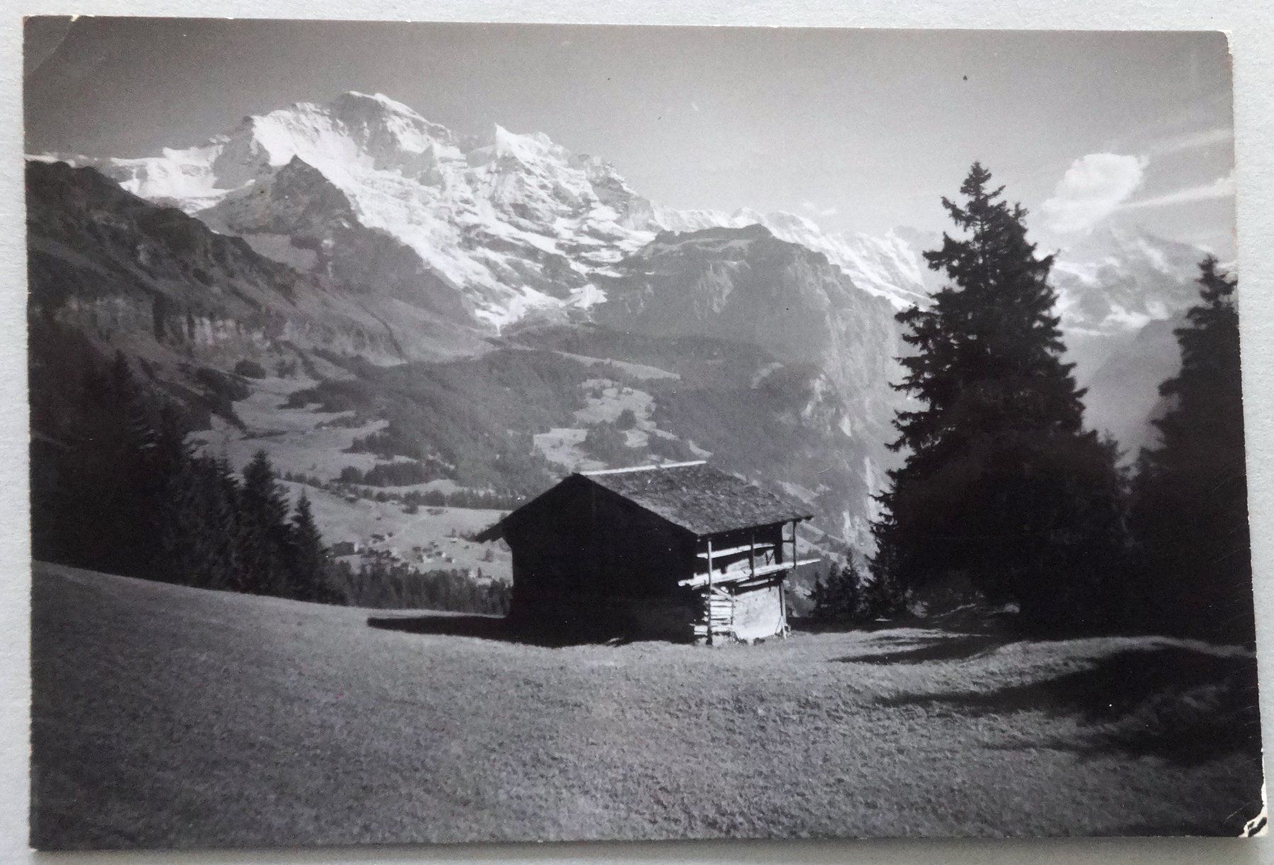 Cartoline postali: Wengen - Jungfrau – Usato da Fétigny venduto da Billy2miny